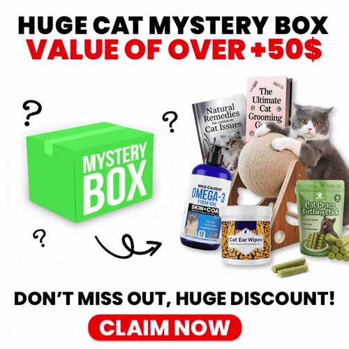 HUGE CAT MYSTERY BOX (50£+ VALUE)