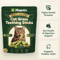Maostix